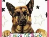 German Shepherd Birthday Meme Happy Birthday Card German Shepherd Fb Special