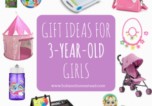 Gift for A 3 Year Old Birthday Girl 15 Gift Ideas for 3 Year Old Girls Hobson Homestead