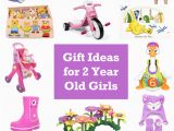 Gift Ideas for 2 Year Old Birthday Girl 15 Gift Ideas for 2 Year Old Girls 2016 Hobson Homestead