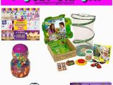 Gifts for A 4 Year Old Birthday Girl Best Gifts for A 4 Year Old Girl the Pinning Mama