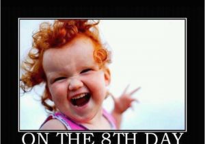 Ginger Birthday Meme 97 Best Red Hair Don 39 T Care Images On Pinterest Redheads