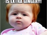 Ginger Birthday Meme I Hope Your Birthday is Extra Gingery Ginger Birthday
