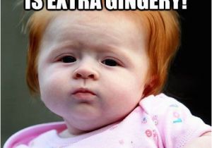 Ginger Birthday Meme I Hope Your Birthday is Extra Gingery Ginger Birthday