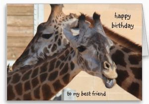 Giraffe Birthday Card Sayings 1000 Images About Happy Birthday Baby On Pinterest