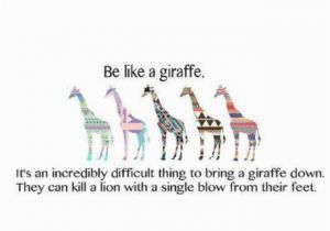 Giraffe Birthday Card Sayings Giraffe Birthday Card Sayings Giraffe Quotes Funny Sayings