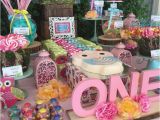 Girl Owl Birthday Party Decorations 73 Best Christening First Birthday Images On Pinterest