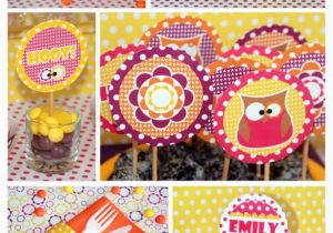 Girl Owl Birthday Party Decorations Owl Birthday Owl Party Owl Party Decorations Girl Owl