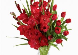 Gladiolus Birthday Flowers Birthday Flower for August Gladiolus
