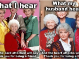 Golden Girls Birthday Meme 25 Timeless Golden Girls Memes and Quotables Tv