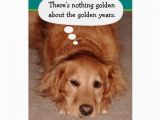 Golden Retriever Birthday Cards Funny Golden Oldie Golden Retriever Birthday Card Zazzle