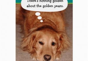 Golden Retriever Birthday Cards Funny Golden Oldie Golden Retriever Birthday Card Zazzle