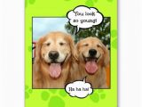 Golden Retriever Birthday Cards Funny Golden Retriever Golden Oldie Birthday Card by