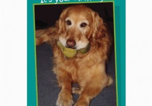 Golden Retriever Birthday Cards Funny Golden Retriever with Balls Birthday Card Zazzle