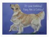 Golden Retriever Birthday Cards Golden Retriever Birthday Card Zazzle