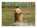 Golden Retriever Birthday Cards Golden Retriever Birthday Card Zazzle