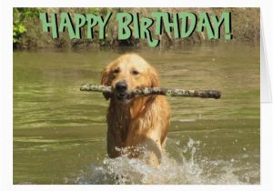 Golden Retriever Birthday Cards Golden Retriever Birthday Card Zazzle