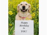Golden Retriever Birthday Cards Golden Retriever Dog Cute Custom Birthday Card Zazzle Com