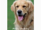 Golden Retriever Birthday Cards Golden Retriever Dog Happy Birthday Greeting Card Zazzle