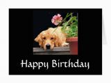 Golden Retriever Birthday Cards Golden Retriever Happy Birthday Card Zazzle