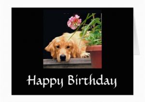 Golden Retriever Birthday Cards Golden Retriever Happy Birthday Card Zazzle