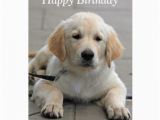 Golden Retriever Birthday Cards Golden Retriever Puppy Cute Photo Birthday Card Zazzle