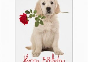Golden Retriever Birthday Cards Happy Birthday Golden Retriever Puppy Dog Card Zazzle Co Uk