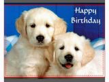 Golden Retriever Birthday Cards Happy Birthday Wishes with Golden Retriever