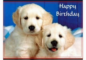Golden Retriever Birthday Cards Happy Birthday Wishes with Golden Retriever