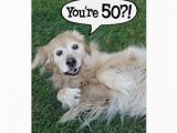 Golden Retriever Birthday Cards Shocked Golden Retriever Birthday Card Zazzle