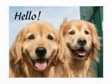 Golden Retriever Birthday Meme Golden Retriever Birthday Meme Pictures to Pin On