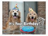 Golden Retriever Birthday Meme Golden Retriever Happy Birthday Cake Postcard Zazzle