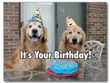 Golden Retriever Birthday Memes Golden Retriever Happy Birthday Cake Postcard Zazzle Com