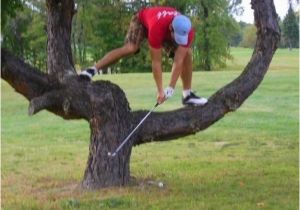Golf Birthday Meme Goin 39 Out On A Limb to Wish You A Happy Birthday Bad