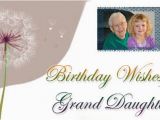 Granddaughter Birthday Cards for Facebook Granddaughter Birthday Wishes Grand Daughter Messages