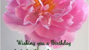 Greeting Cards for Birthday Wishes to Friend Happy Birthday Wishes for Friend with Images