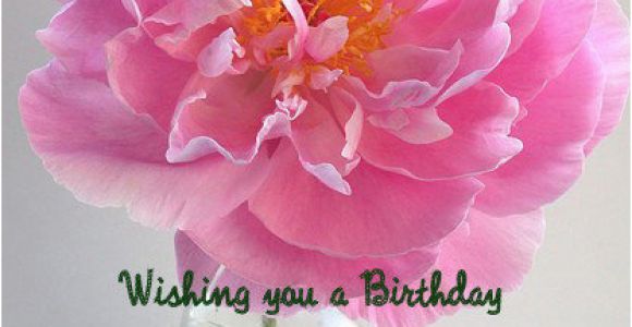 Greeting Cards for Birthday Wishes to Friend Happy Birthday Wishes for Friend with Images