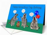Groundhog Day Birthday Card Birthday On Groundhog Day General Raccoons with 755040