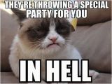 Grumpy Cat Birthday Meme Generator 1207 Best Gt