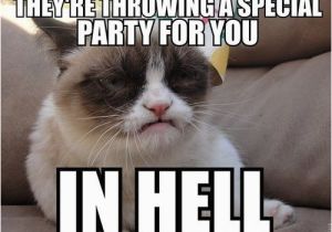 Grumpy Cat Birthday Meme Generator 1207 Best Gt