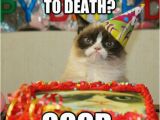 Grumpy Cat Birthday Meme Generator 205 Best Images About Happy Birthday On Pinterest
