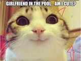 Grumpy Cat Birthday Meme Generator 25 Best Ideas About Cat Meme Generator On Pinterest