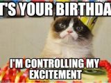 Grumpy Cat Birthday Meme Generator 65 Best Images About Birthday Memes On Pinterest 50