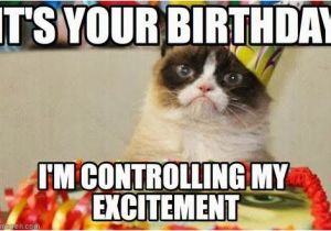 Grumpy Cat Birthday Meme Generator 65 Best Images About Birthday Memes On Pinterest 50