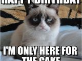 Grumpy Cat Birthday Meme Generator Grumpy Cat Birthday Grumpy Cat Happy Birthday I 39 M