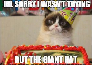 Grumpy Cat Birthday Meme Generator Grumpy Cat Birthday Memes Imgflip