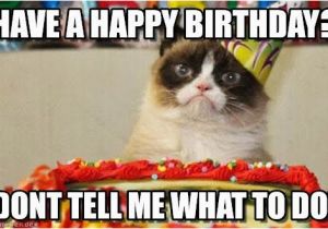 Grumpy Cat Birthday Meme Generator Have A Happy Birthday Grumpy Cat Birthday Meme On