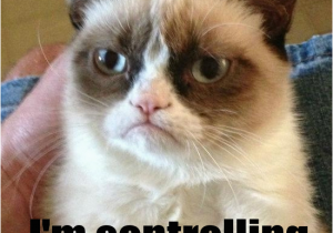 Grumpy Cat Birthday Meme Generator Sad Birthday Cat Meme Generator Image Memes at Relatably Com