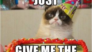 Grumpy Cat Birthday Meme Generator the 25 Best Birthday Meme Generator Ideas On Pinterest