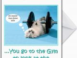 Gym Birthday Card Funny Gym Cat Personalised Birthday Card Quot We Know why You