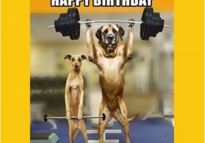 Gym Birthday Meme Birthday Work Out Memes Wishesgreeting
